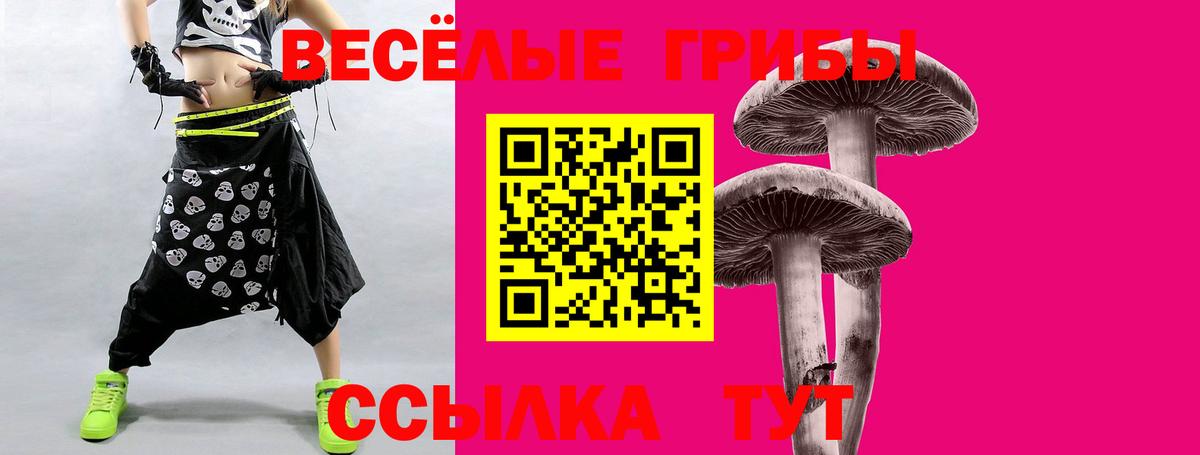Псилоцибиновые грибы MAGIC MUSHROOMS Баксан
